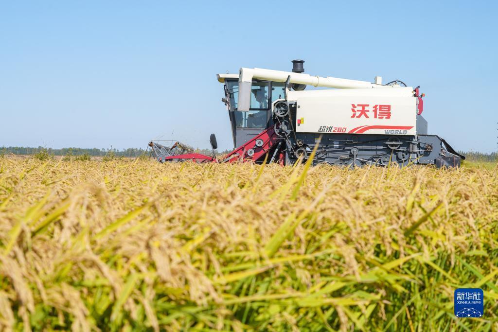 贵宾会游戏